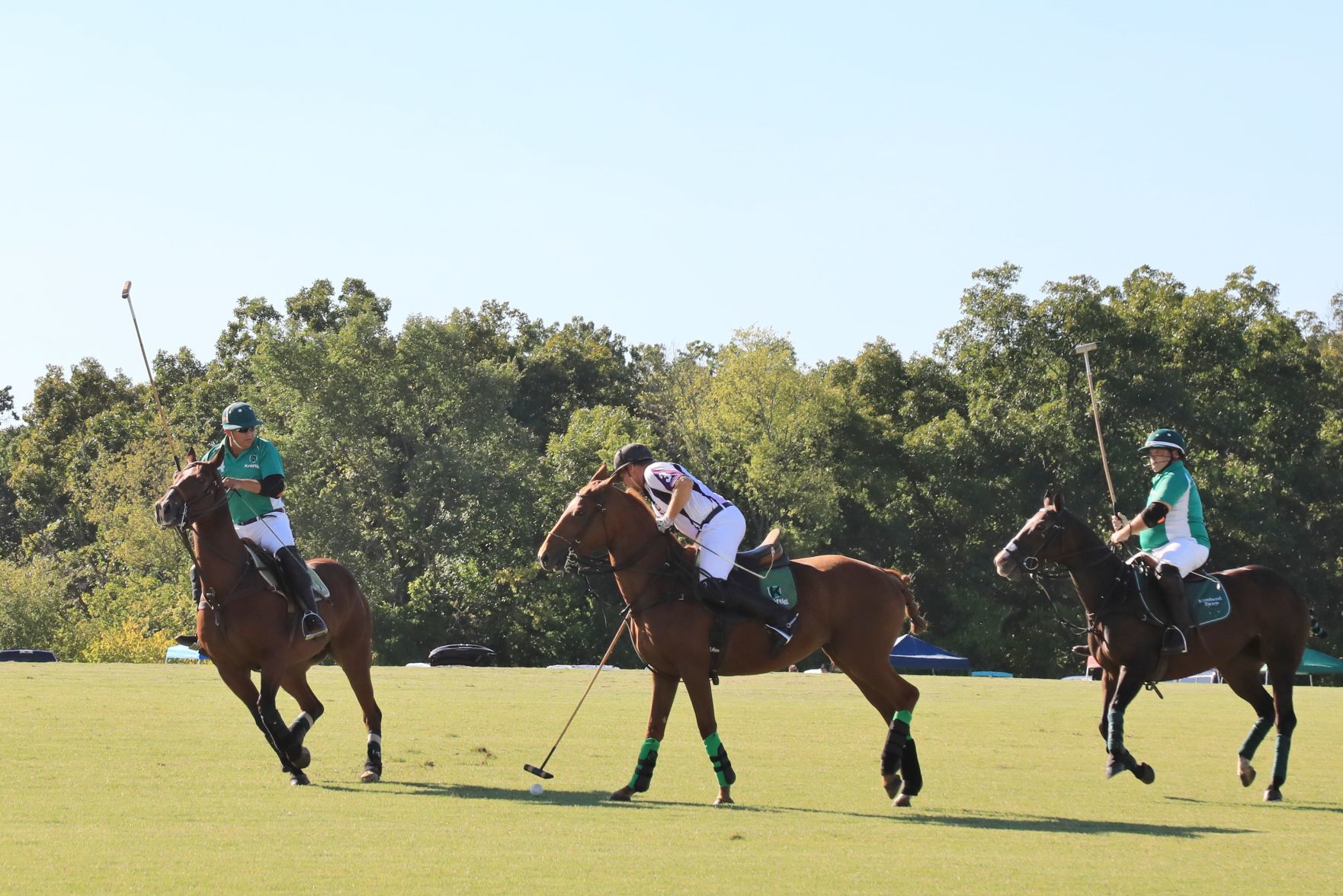 2018-Glennon-Gallop-041.JPG
